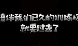 最新军需上线爆料,揭秘最新军需装备上线亮点与前瞻