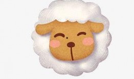 小羊最新爆料网站,揭秘网络世界背后的秘密