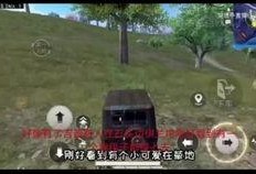 和平营地最新爆料