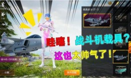 吃鸡新载具爆料最新消息,吃鸡战场再添神秘力量，揭秘新载具性能与战术优势