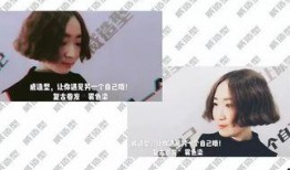 文安女士爆料最新,揭秘娱乐圈惊人内幕